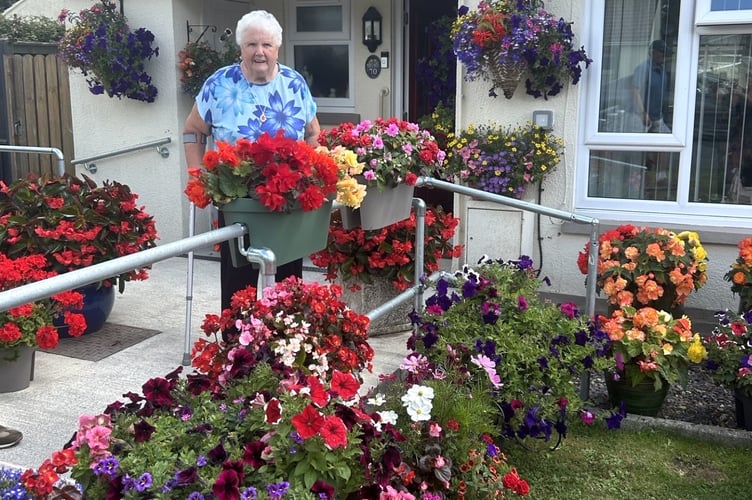 Tenby in Bloom 2025 entry