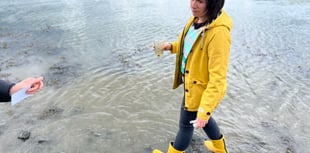 Half of Brits shun sea due to sewage
