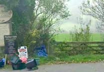 Pembrokeshire garden centre gets green light thanks to 'Google Earth' images