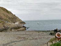 Pembrokeshire field becomes seasonal car park