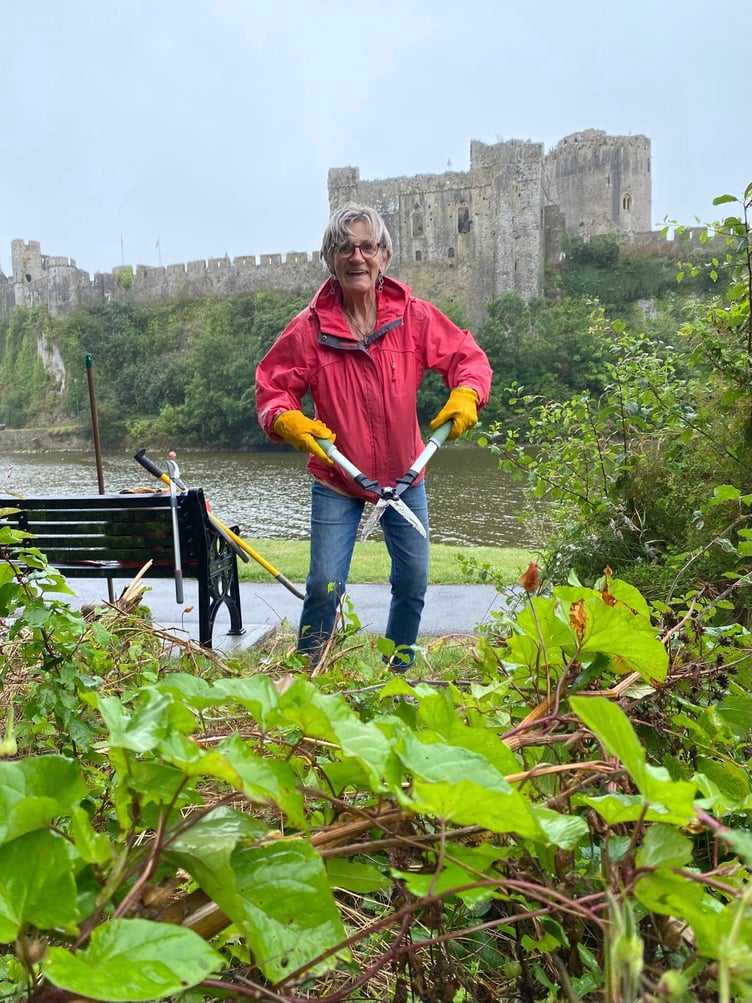 Mind Pembrokeshire’s Roots to Recovery team got to work clearing an overgrown spot opposite the castle.