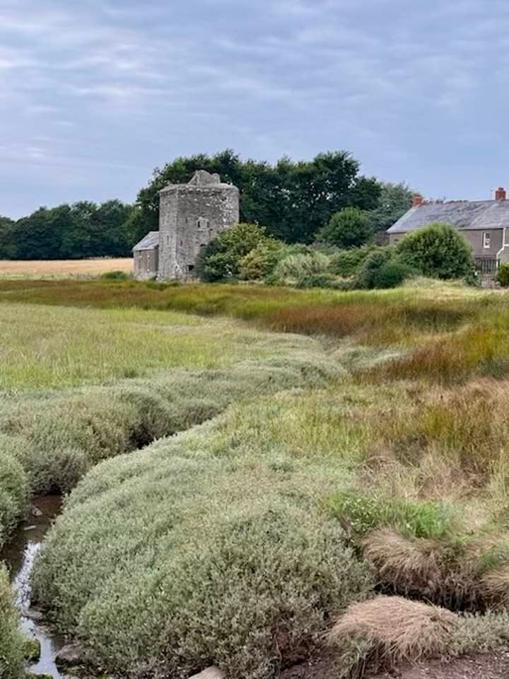 Ruth Ashworth - Angle Tower House