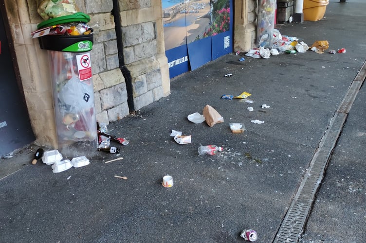 Tenby train litter