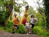 Dinosaur Park Tenby wins Tripadvisor award