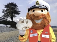 Saundersfoot RNLI's magical pebble hunt returns this Sunday