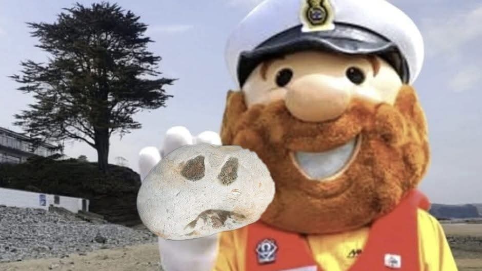 Saundersfoot RNLI's magical pebble hunt returns this Sunday | tenby ...