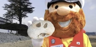 Saundersfoot RNLI's magical pebble hunt returns this Sunday