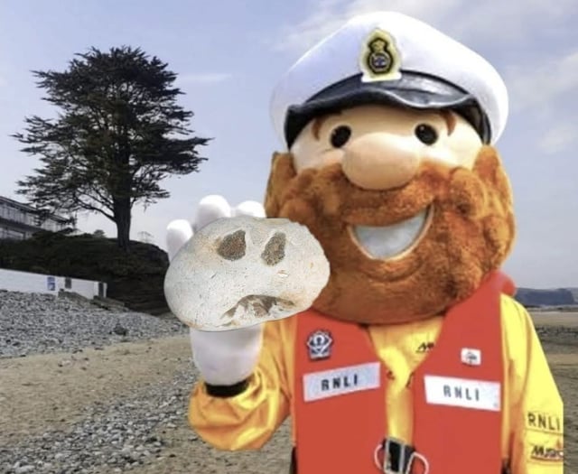 Saundersfoot RNLI's magical pebble hunt returns this Sunday
