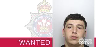 Carmarthenshire teen wanted for robbery