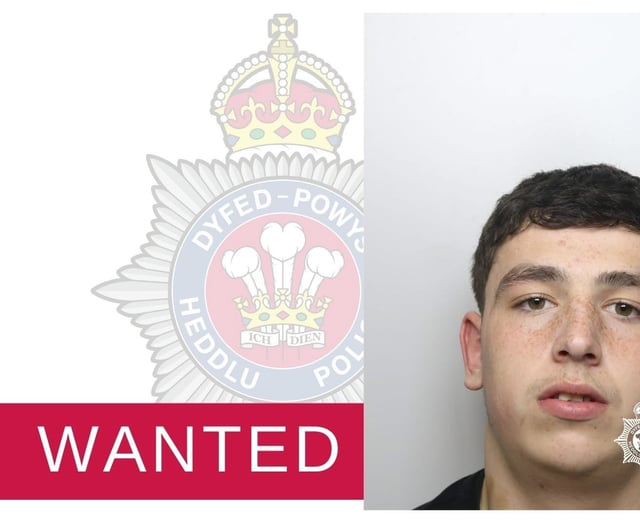 Carmarthenshire teen wanted for robbery