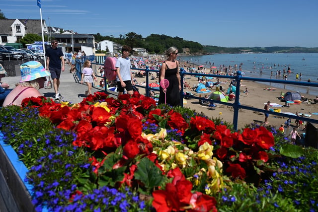 Saundersfoot to rejoin Wales in Bloom contest for 2026