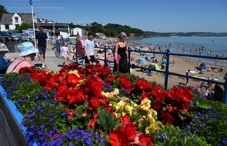 Saundersfoot flowers