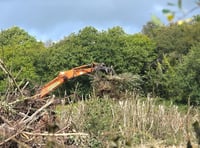 Carmarthenshire land clearance sparks concern