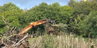 Carmarthenshire land clearance sparks concern