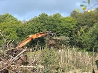 Carmarthenshire land clearance sparks concern