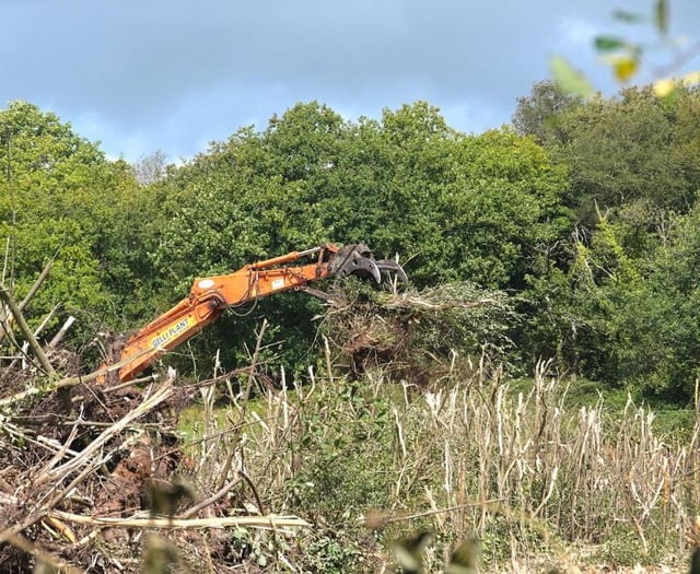 Carmarthenshire land clearance sparks concern