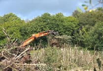 Carmarthenshire residents concerned over land clearance for proposed housing