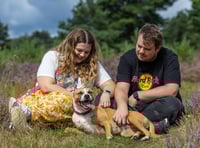 RSPCA, Matt Johnson push for pet grief awareness