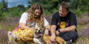 RSPCA, Matt Johnson push for pet grief awareness