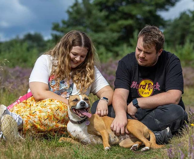 RSPCA, Matt Johnson push for pet grief awareness