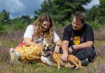 WATCH: RSPCA and Welsh presenter Matt Johnson advocate for serious pet grief support