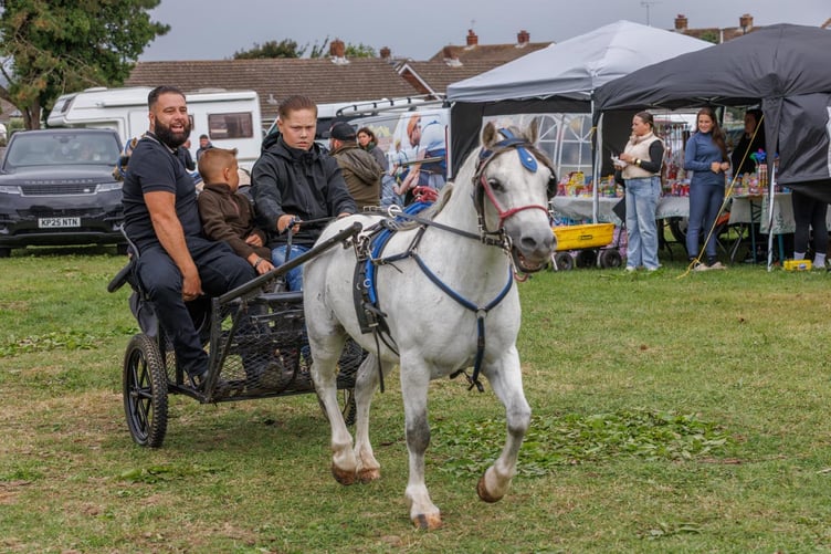 Monkton Horse Fair Pembroke