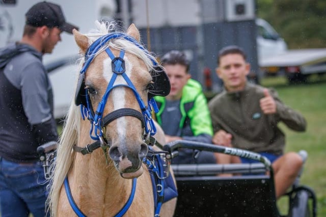 Monkton Horse Fair, Pembroke