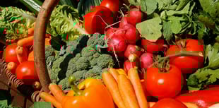 Pembrokeshire Launches Green, Food and Environment Alliance