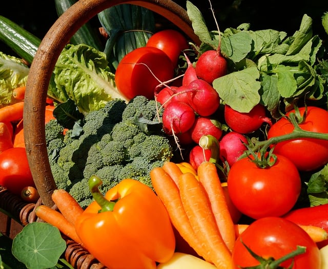 Pembrokeshire Launches Green, Food and Environment Alliance