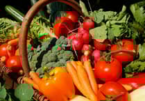 Pembrokeshire set to launch Green, Food and Environment Alliance