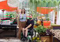 Pembrokes couple open houseplant café in converted greenhouse