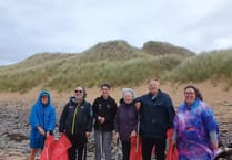 Roots to Recovery: improving the environment in Pembrokeshire
