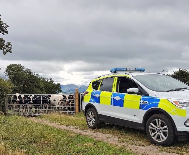 Students tackle rural crime in new police programme