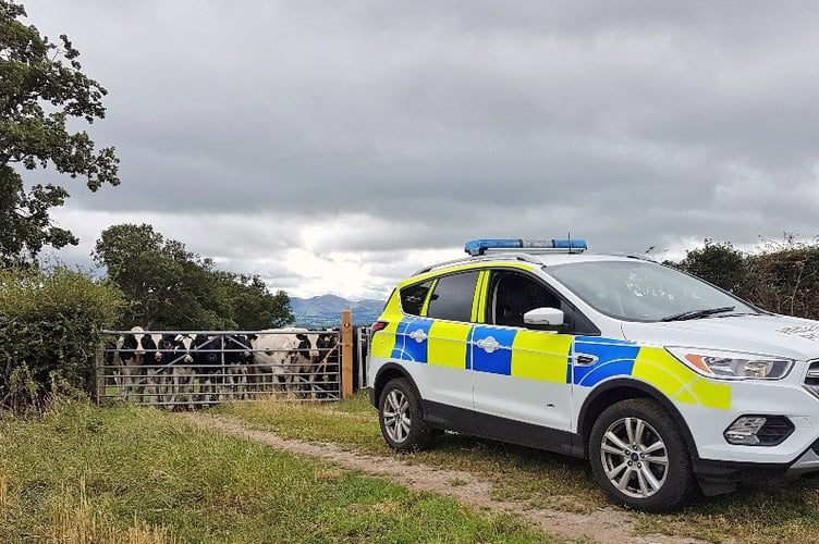From livestock theft to machinery crime, Rural Crime Action Week highlights the growing threats facing farmers and what can be done to protect our communities