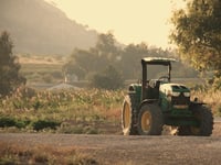 Supermarket regulation ‘failing farmers'