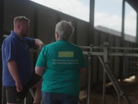 Welsh Young Farmers unite against suicide risk