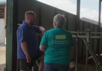 WATCH: Welsh Young Farmers unite against suicide risk