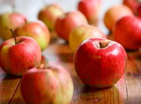 Prendergast pupils seek apple donations
