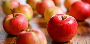 Prendergast pupils seek apple donations