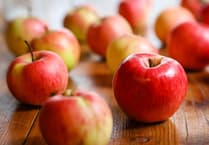 Prendergast pupils seek apple donations for fundraiser