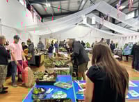 Manorbier Village Show a roaring success