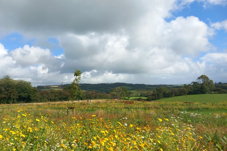 A beautiful memorial meadow has opened at Parc Gwyn Crematorium, Narberth, to provide a natural and peaceful space for remembrance and reflection. 