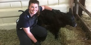 Carmarthenshire farm vet up for prestigious award