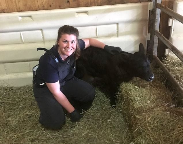 Dr Rosemary Charnley, a Carmarthenshire farm vet, has been nominated for the prestigious British Veterinary Association's ‘Young Vet of the Year Award’ for 2025. The winner will be announced on October 16 in London.