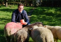 Welsh Liberal Democrats criticise Labour MPs for 'Family Farms Tax' vote