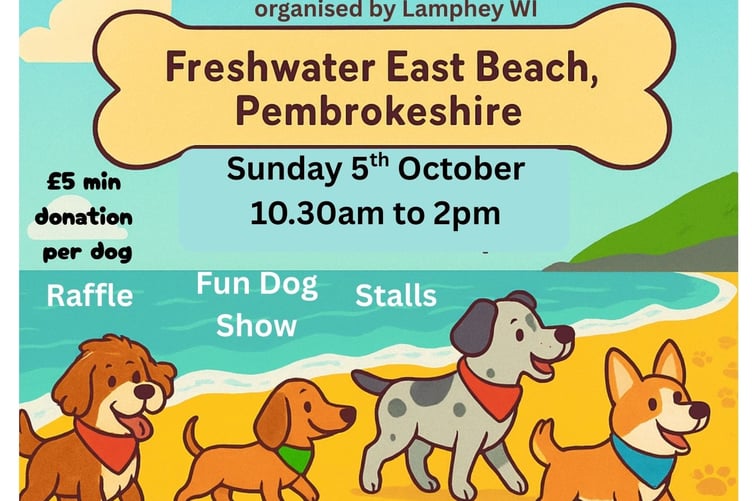 Paws on the Beach, Freshwater East, October 5, 10.30am-2pm
