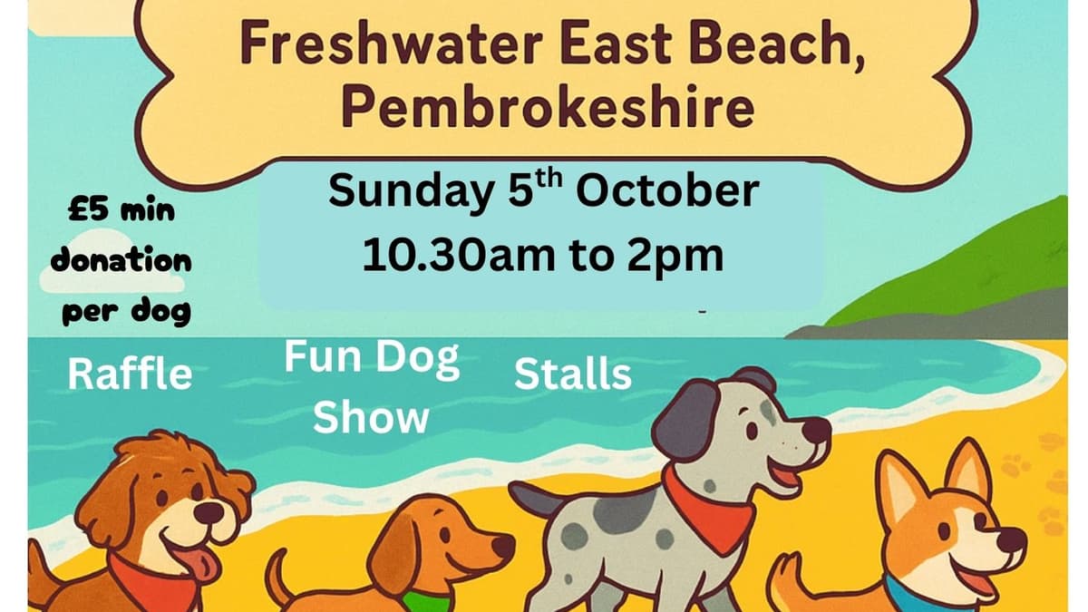Freshwater East Dog Event to Support Wales Air Ambulance | Tenby-to...