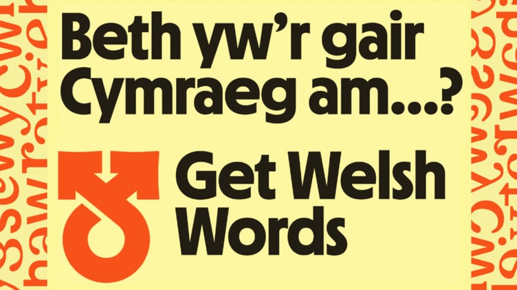 Get Welsh Words logo