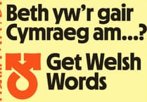 New website launched to help people Get Welsh Words