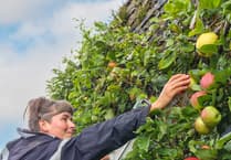 Join the harvest fun at Aberglasney